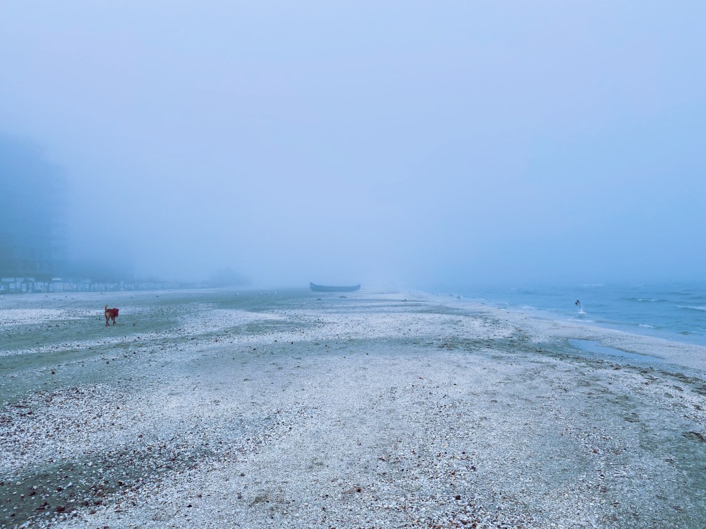 PD: Foggy Day Mamaia&nbsp;Sat